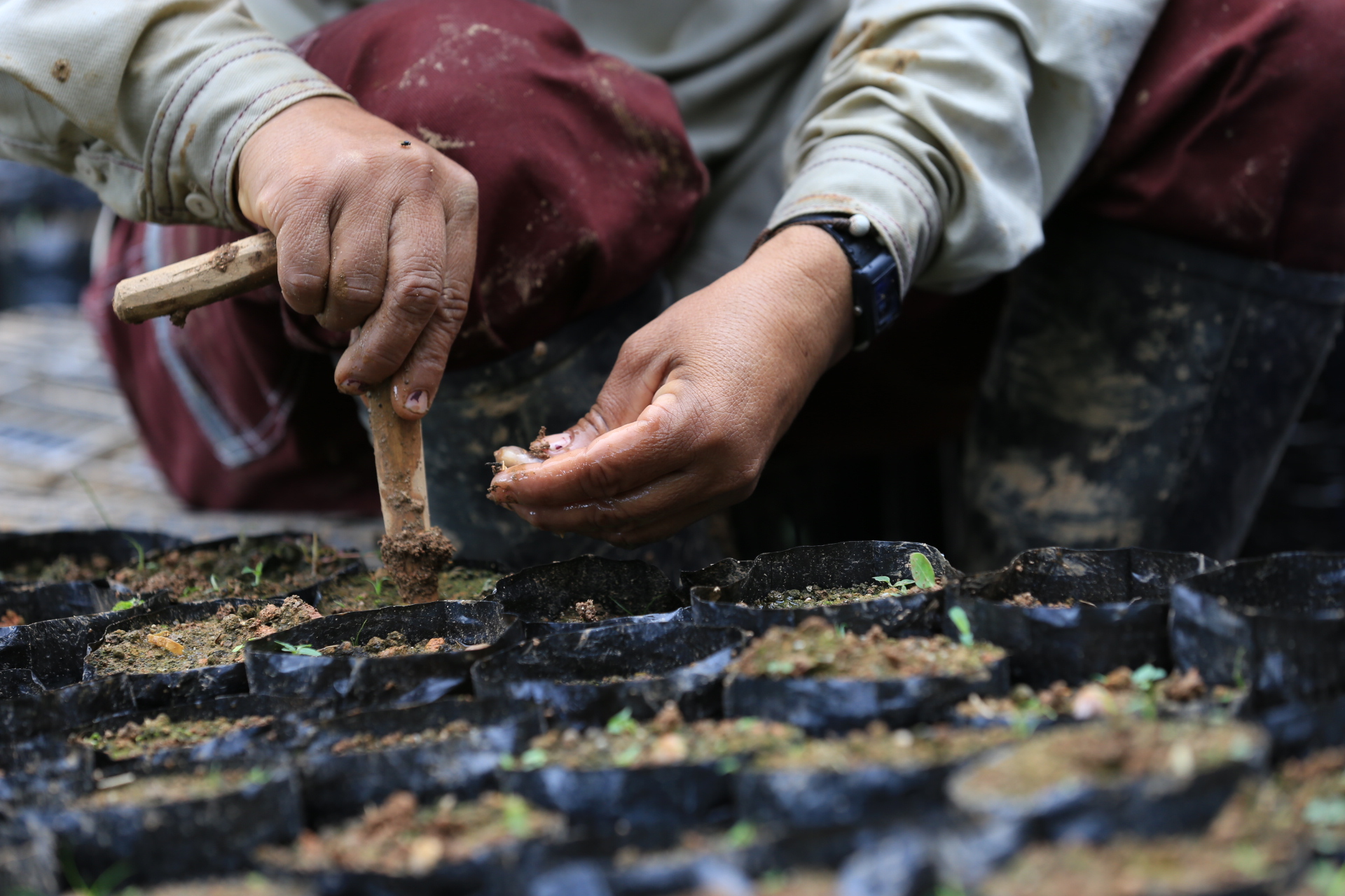 EPM continua contribuyendo a la protección del medio ambiente con la